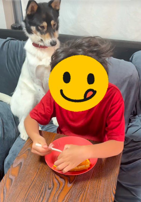ちょっと欲しいな…