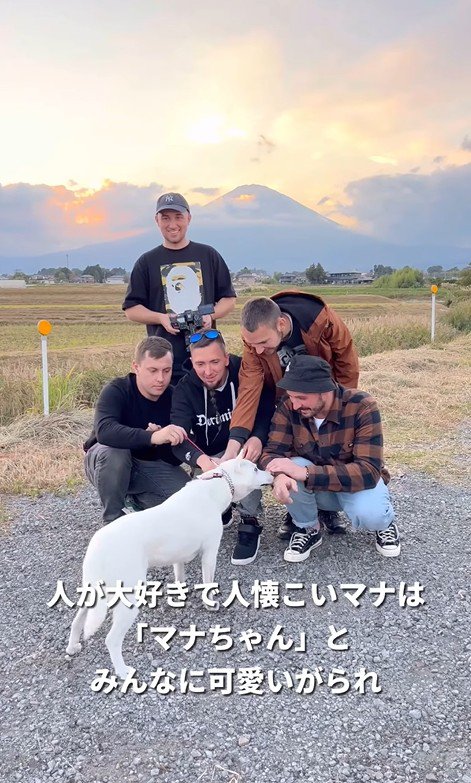 マナちゃんの現在までの軌跡5