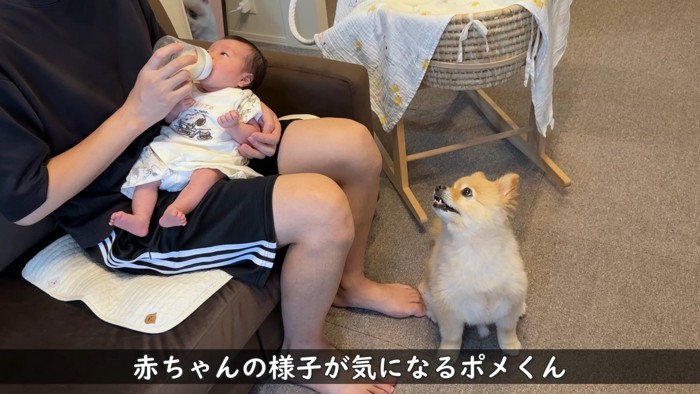 ミルクを飲む姿を見守っています