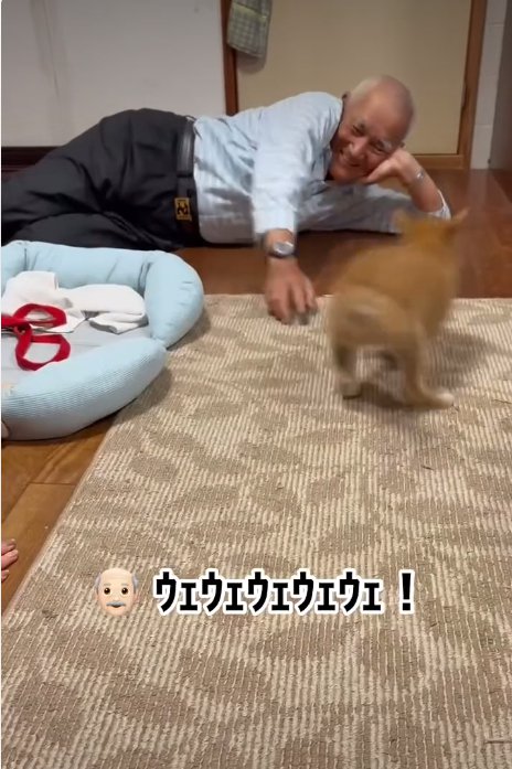 遊ぶ犬2