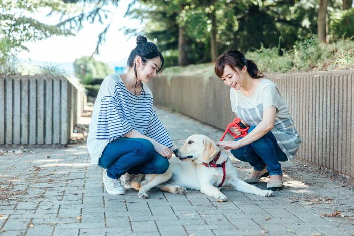 笑顔で向き合う犬と女性