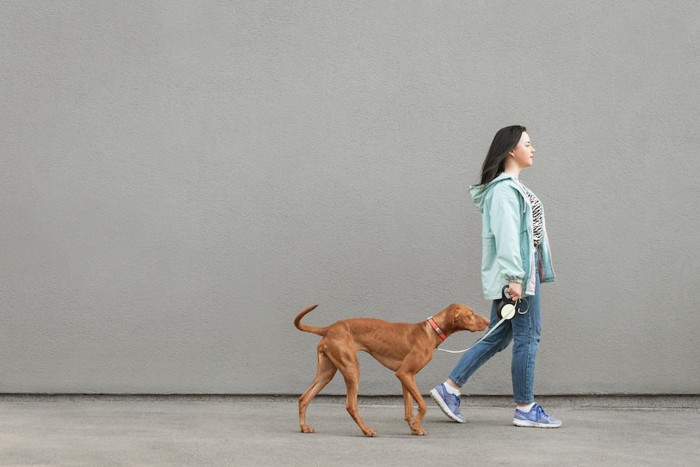 グレーの背景と散歩する犬と飼い主