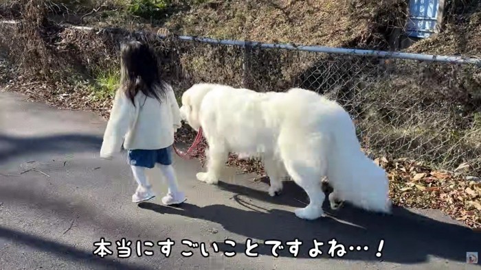 絶対に引っ張らない