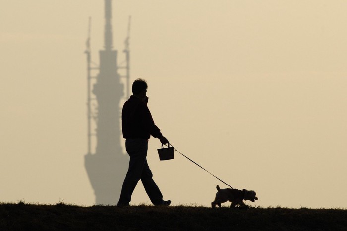 陰になる散歩をする人と犬