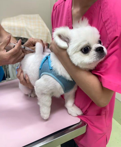 こんぶ君は無反応