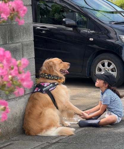 息子さんと大型犬