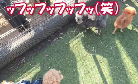ジワジワ笑いが込み上げる…