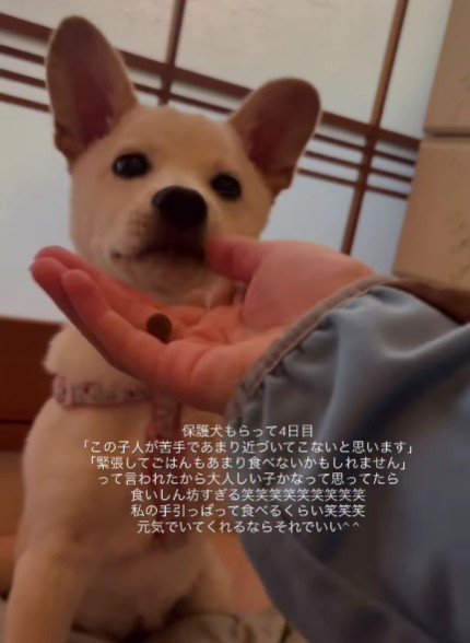 運命の出会いだったのかも♡