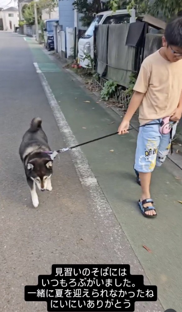 ゆっくりと散歩