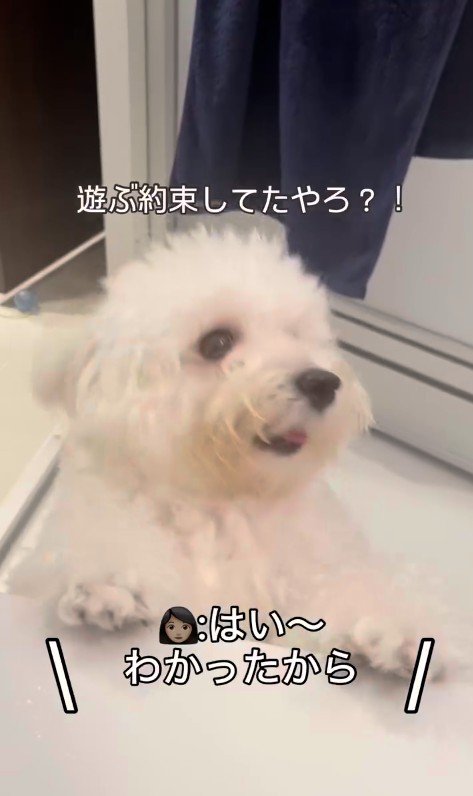 お風呂場に突撃するジジくん3