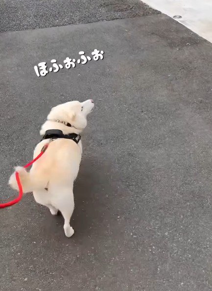 「待って!」