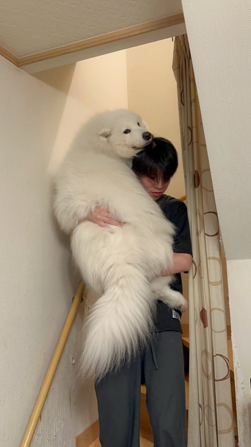 お兄ちゃん