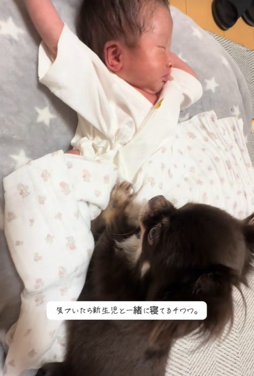 ラキくんが赤ちゃんのそばに…