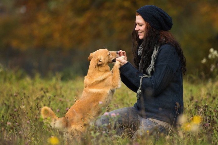 屋外で遊ぶ女性と犬