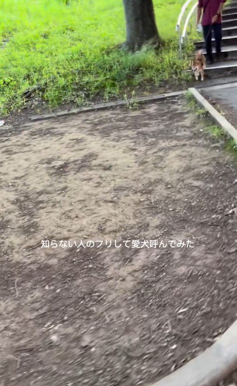 ドッキリに対する福ちゃんの反応