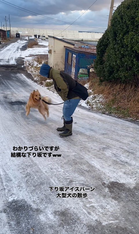 凍った坂を下るじろ君と飼い主さん6