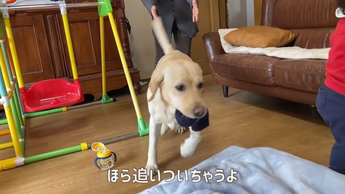 追いかけっこスタート