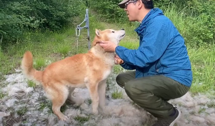 立ち上がりかけた犬