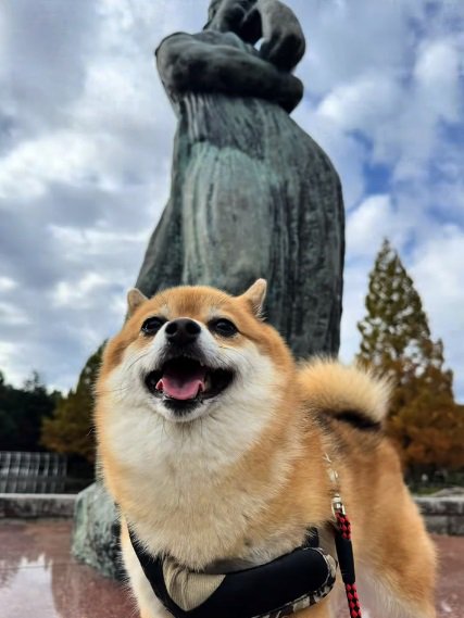 笑顔のあずきちゃん