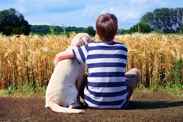 犬と寄り添う男の子の後ろ姿