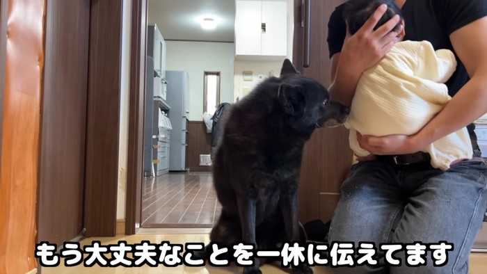 赤ちゃんは大丈夫だよ!