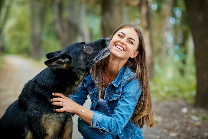 しゃがんだ女性にキスする犬