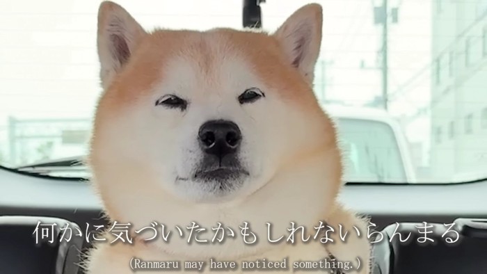 「もしかして…病院…？」