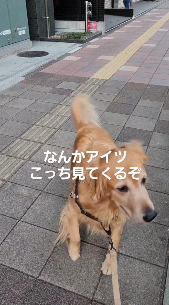 着ぐるみを見て後ずさる犬