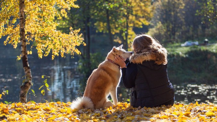 女性と犬