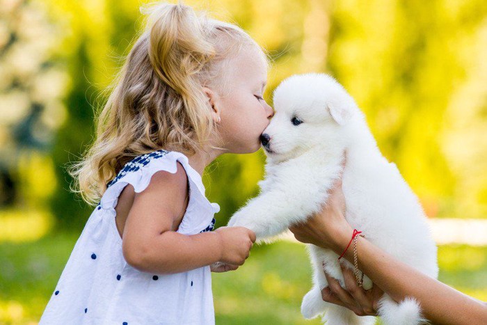 子犬にキスをする女の子