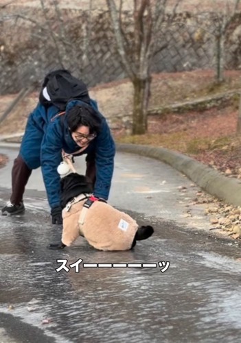 滑り落ちていく男性とパグ