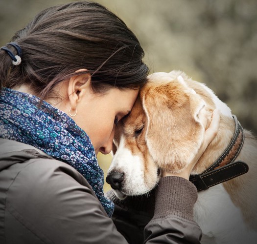 目を閉じて女性とおでこを合わせる犬