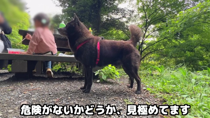 鋭い眼差し…