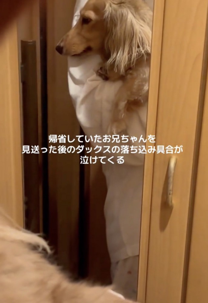 「おにいちゃん…」