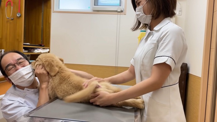 獣医さんにキスするるこる君