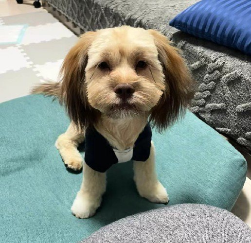 長い黒耳が髪の毛みたい♪