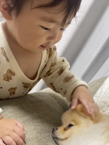 犬を撫でる子ども