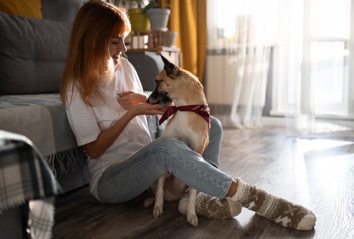 飼い主さんの手からオヤツを食べる犬