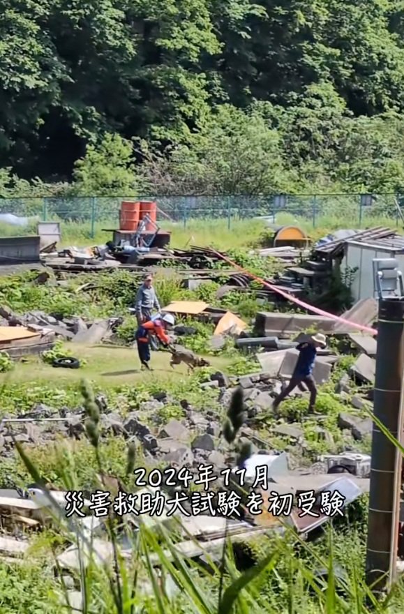 初めての試験を受けるまる君