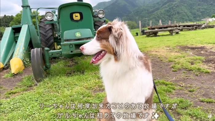 初めて牧場へ