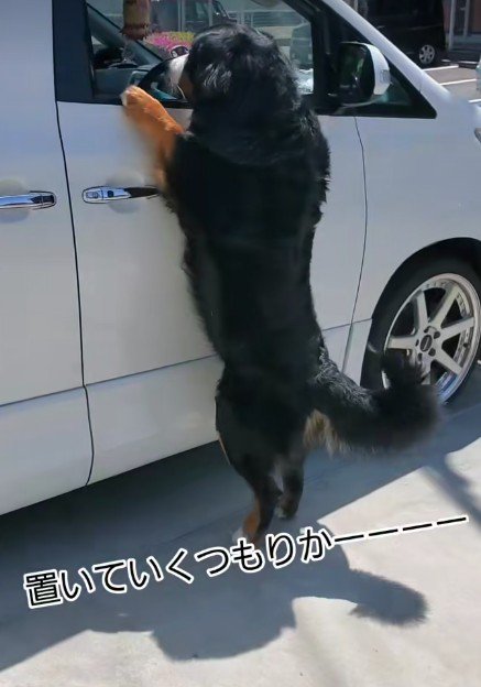 車で出かけようとしたら…