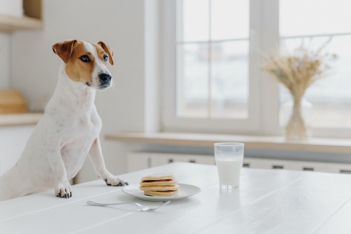 食卓と犬