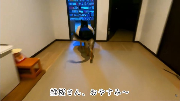 マット持参で寝室へ♪