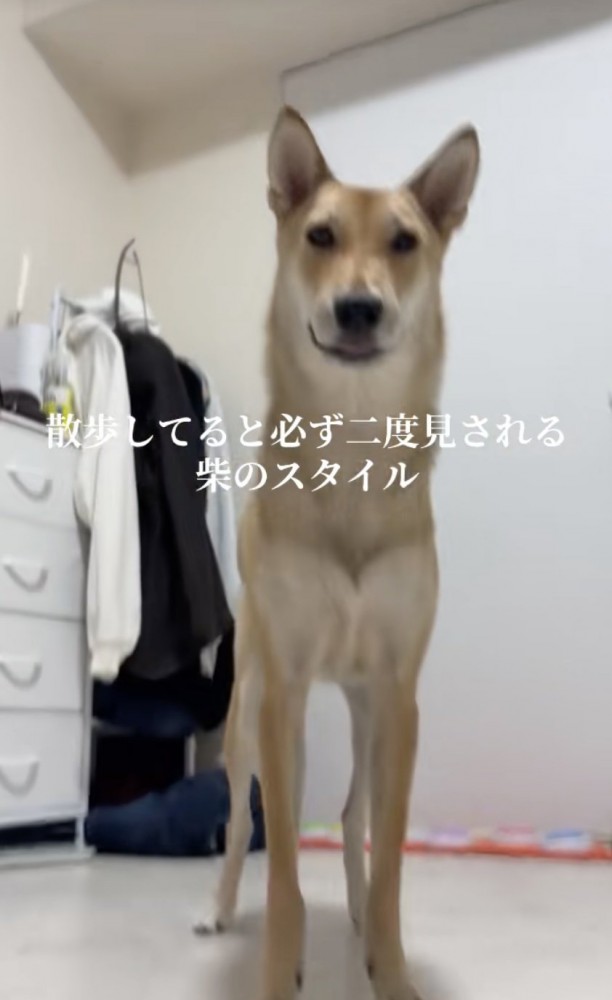 スラリ