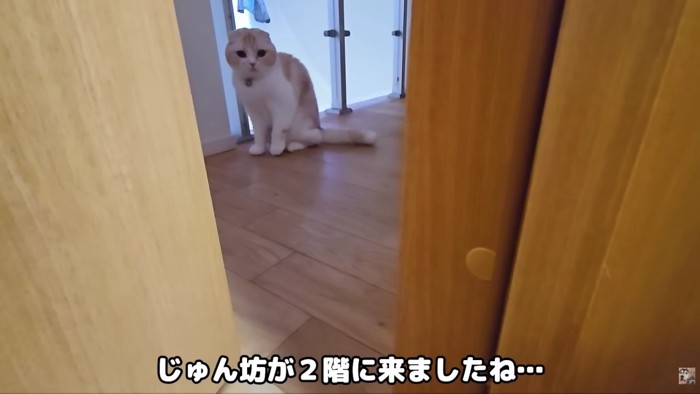 じゅんちゃんが訪れた