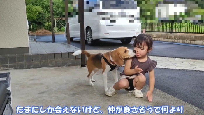 お顔をペロッ♪