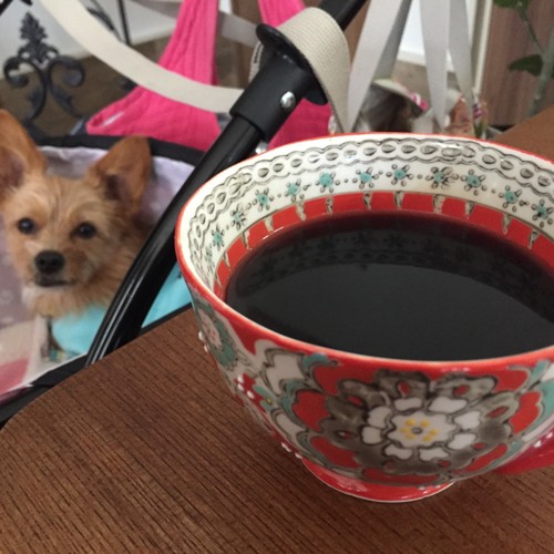 コーヒー