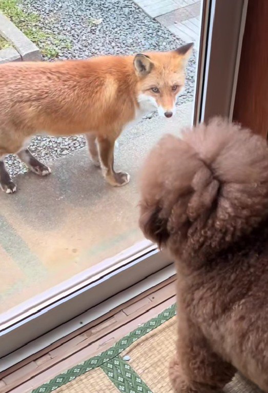 「またここに来るの?」