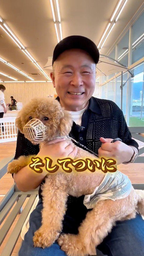 男性の膝の上に乗る犬