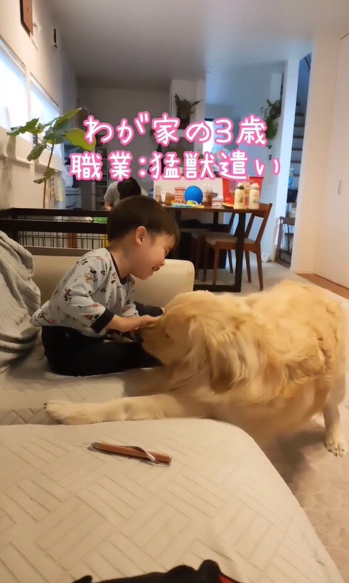 大型犬をなだめる男の子